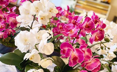 アーティフィシャルフラワー胡蝶蘭アレンジメント光触媒 (ホワイト)