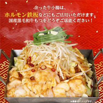 【大反響!】【1000g】博多本場もつ鍋　醤油味「2人前×5回分」【配送不可地域：離島】