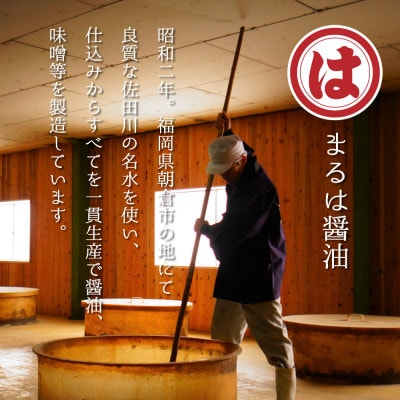 博多もつ鍋セット(九州醤油仕立て)2～3人前　国産牛もつ300g【配送不可地域：離島】