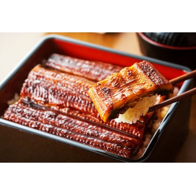 大野城市限定!ふっくら大判特上うなぎ蒲焼　計約600～700g(約320g×2尾)【配送不可地域：離島】