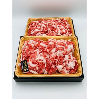 【毎月定期便】【A4～A5】博多和牛切り落とし 1kg(500g×2パック)全6回【配送不可地域：離島】