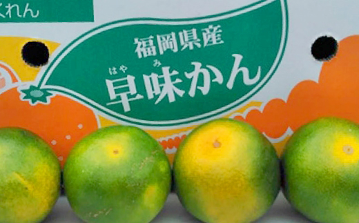 福岡限定!オリジナルブランドみかん「早味かん」約2kg(大野城市)【配送不可地域：離島】