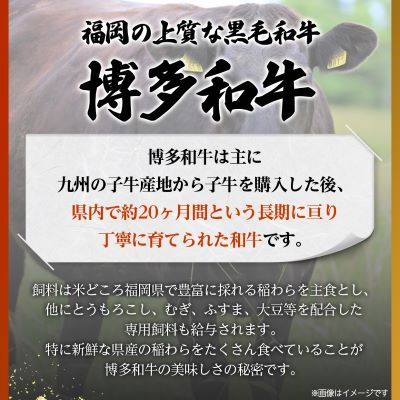 博多和牛切り落とし　600g【配送不可地域：離島】