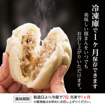 本場中国の味 太平閣の豚まん 10個　【総量 約1.2kg】【配送不可地域：離島】