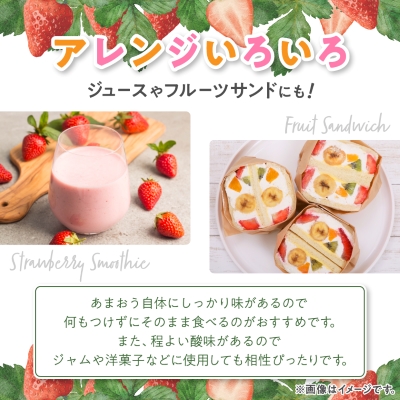 【発送月固定定期便】福岡県産あまおう約270g×4パック全3回【配送不可地域：離島】