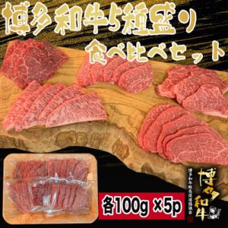博多和牛焼肉5種食べ比べセット《合計500g》【配送不可地域：離島】