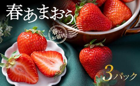 【2026年発送先行受付】春にお届け!福岡産はるあまおう3パック【配送不可地域：離島】