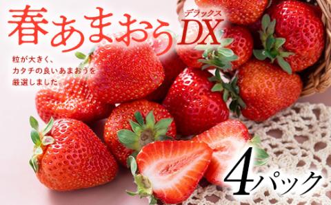 【2026年発送先行受付】フルーツソムリエが選んだ【春】あまおうDX(デラックス)4パック【配送不可地域：離島】