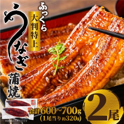 大野城市限定!ふっくら大判特上うなぎ蒲焼　計約600～700g(約320g×2尾)【配送不可地域：離島】