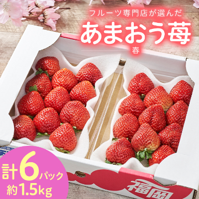 【2026年発送先行受付】フルーツ専門店が選んだ「あまおう苺」春250g×6パック(大野城市)【配送不可地域：離島】