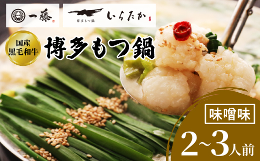 【もつ鍋一藤】 国産黒毛和牛肉のもつ鍋味噌(2～3人前・濃縮スープ)【配送不可地域：離島】