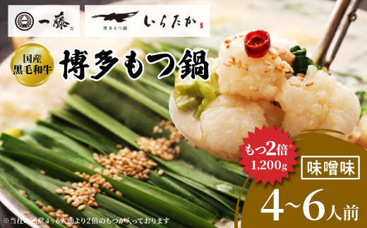 【国産黒毛和牛肉もつ1200g】100年続くもつ鍋一藤　もつ鍋味噌(4～6人前)【配送不可地域：離島】