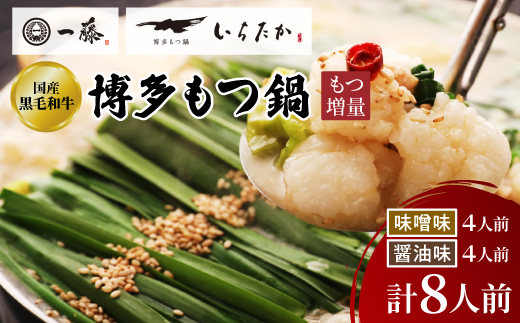 【もつ増量!!もつ鍋一藤】国産黒毛和牛もつ鍋8人前　味噌・醤油味各2回分【配送不可地域：離島】