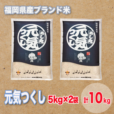 福岡県産ブランド米元気つくし(合計10kg)