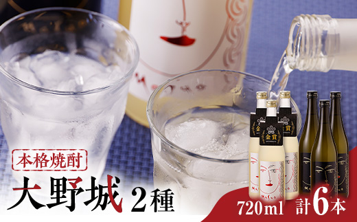 本格焼酎大野城詰合せ