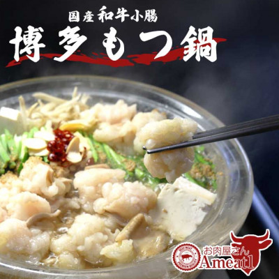 えーみーとわん 国産牛もつ鍋セット(2～3人前)しょうゆ味【配送不可地域：離島】