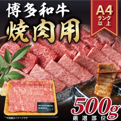 【毎月定期便】博多和牛 A4～A5 焼き肉用【厳選部位】(500g)全12回【配送不可地域：離島】