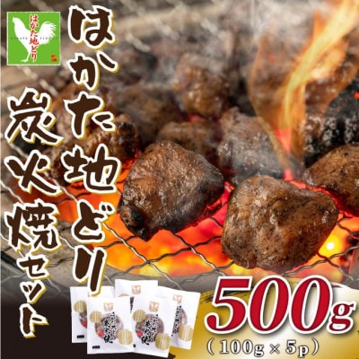 【毎月定期便】はかた地どり炭火焼セット500g(100g×5p)全6回【配送不可地域：離島】