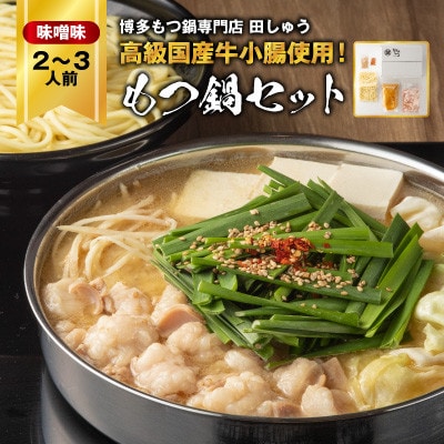 【毎月定期便】【博多もつ鍋専門店　田しゅう】高級国産牛小腸使用　もつ鍋セット味噌味2～3人前全12回【配送不可地域：離島】