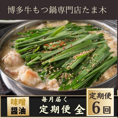 【毎月定期便】【博多牛もつ鍋専門店たま木】牛もつ鍋セット みそ味・醤油味(2～3人前)全6回【配送不可地域：離島】