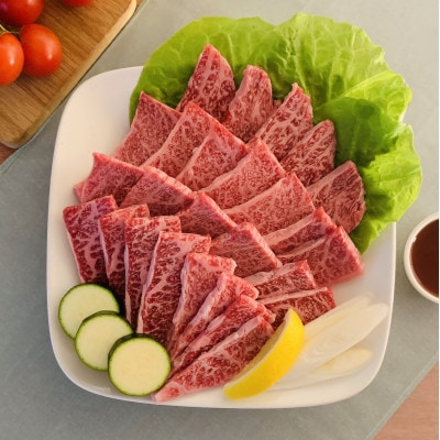 【毎月定期便】【博多和牛】焼肉用　(合計500g)全12回【配送不可地域：離島】