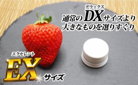 1月より順次発送！「博多あまおう」EX　贈答用化粧箱　約450g 1箱【ほたるの里】_KA0752