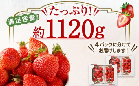 大粒セレクト！大人気のあまおう 280g×4パック【2024年1月～2月上旬お届け】【JAほたるの里】 _KA0274