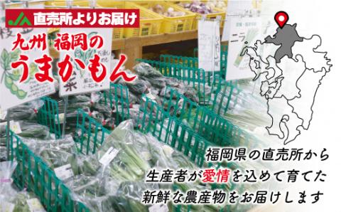 【定期便／年6回／偶数月お届け】むなかた旬の野菜・フルーツお任せセット（12～14品）【ほたるの里】_KB0114