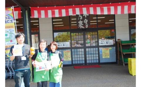 【9～11品】むなかた旬のお任せセット(野菜・フルーツ・お米)【JAほたるの里】_KA0263