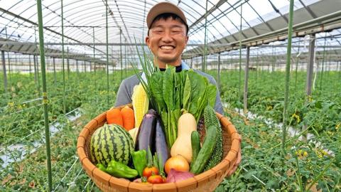 宗像とれたて　野菜・たまごセット【オアシス】_KA0778