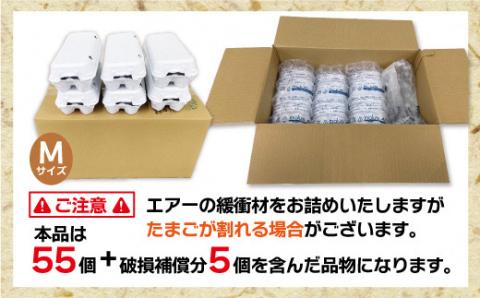 JAむなかたよりお届け！宗像たまご60個（55個＋補償5個）【JAほたるの里】_KA0916
