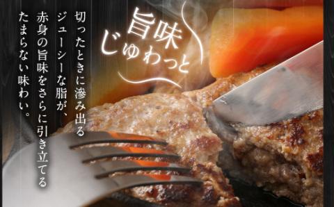 むなかた牛 ハンバーグ 150g×6個 計900g（L'HOTEL GREGE 総料理長監修 むなかたステーキソース付き）【すすき牧場】_KA0139