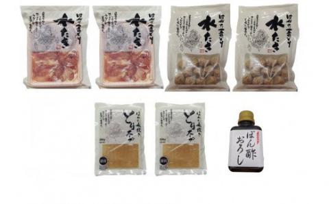 ｢はかた一番どり｣水炊きセット｢和(なごみ)｣4～5人前【あらい】_KA0086