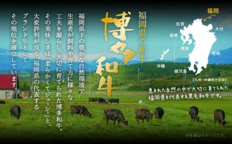 博多和牛ロース・肩ロース切り落とし600g（300g×2パック）【伊豆丸商店】_KA0194