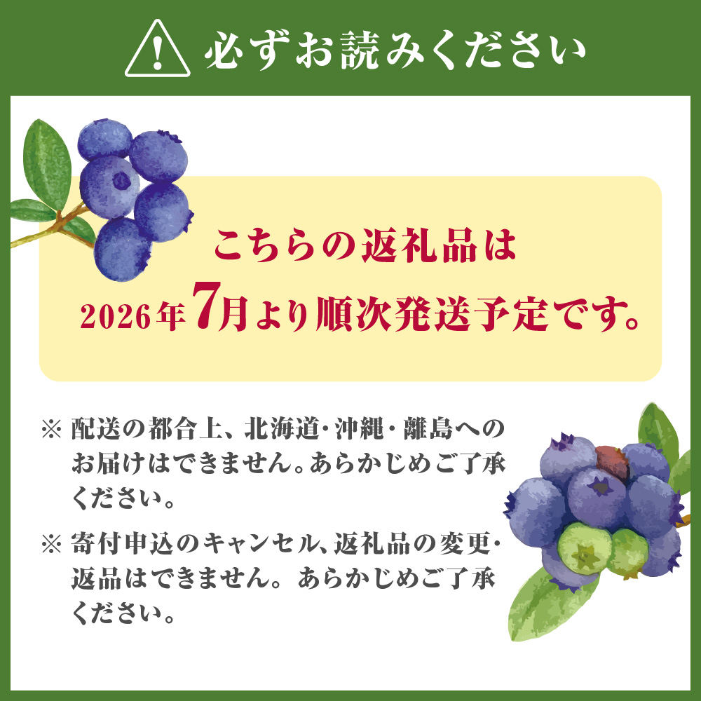 有機肥料で丹精込めて栽培した「ブルーベリー」1kg 栽培期間中農薬不使用　国産【JAほたるの里】_HA0273