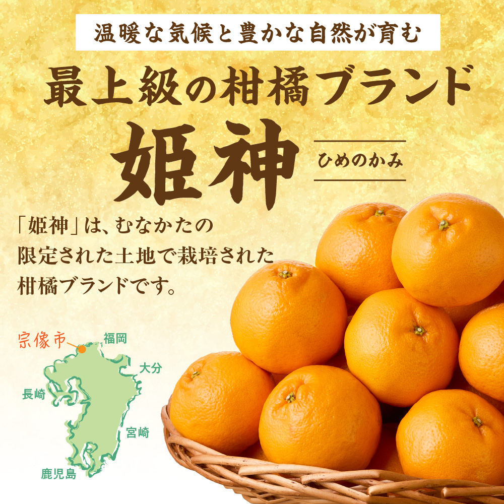 旬のミカンをお届け！JAむなかた柑橘ブランド「姫神」3kg 甘くておいしいみかん【2026年1月～4月上旬発送】【ほたるの里】_HA0281