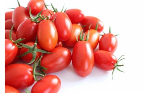 【2026年収穫分 受付スタート!】まるでフルーツ！「とMAX」ミニトマトアイコ(1kg)【とまとのまつお】_HA0375