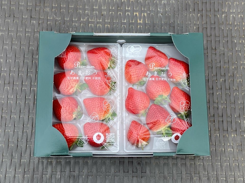 プレミアムオーガニックあまおう 「いせいちご」 スペシャルギフト【伊世いちご畑】_HA0480