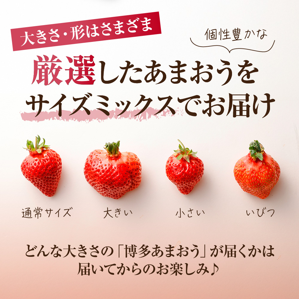 【アフター保証】どこよりも早くお届け！12月発送「博多あまおう」約280g×4パック【ほたるの里】_HA0502