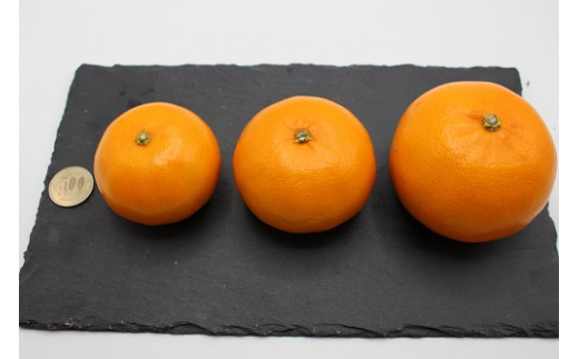 JAむなかた柑橘ブランド「姫神 みかん（せとか）」約5kg【JAほたるの里】_HA0681