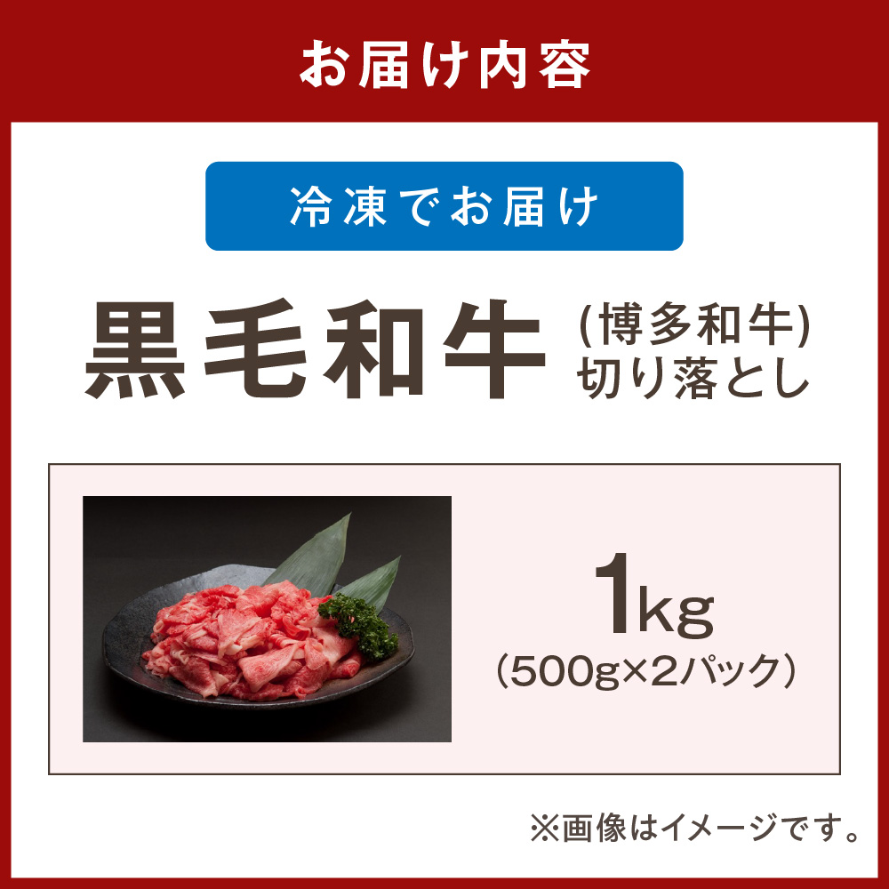 黒毛和牛 (博多和牛) 赤身 切り落とし1kg（500g×2パック）【伊豆丸商店】_HA0726