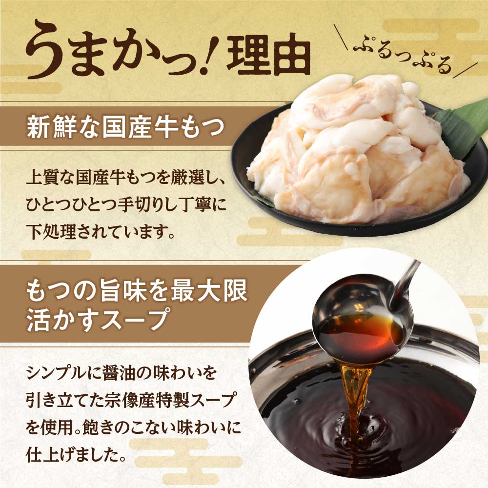 【ご自宅用】博多もつ鍋 醤油味 (3人前)【海千】_HA0837