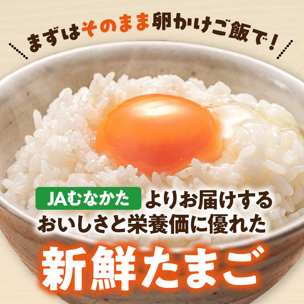 JAむなかたよりお届け！宗像たまご60個（55個＋補償5個）【JAほたるの里】_HA0916