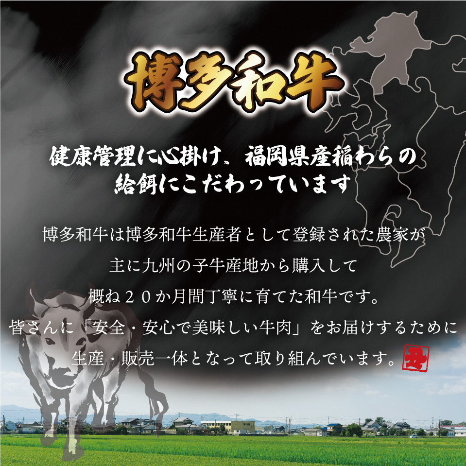 JAむなかたよりお届け！博多和牛焼肉用800g【JAほたるの里】_HA0953