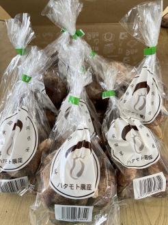 【一週間以内に発送】生しいたけ　肉厚シイタケ　無農薬　菌床栽培　110gX9(袋)【ハタモト農産】_HA1005