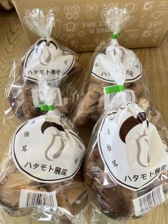 【一週間以内に発送】生しいたけ　肉厚シイタケ　無農薬　菌床栽培　200gX4(袋)【ハタモト農産】_HA1006