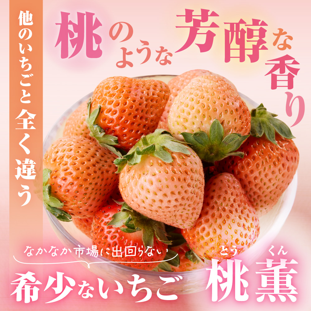 【先行予約】【2025年12月中旬より順次発送】福岡県産　桃薫　2パックセット【ナチュレッシュ・ファーム・ジェイピー】_HA1338