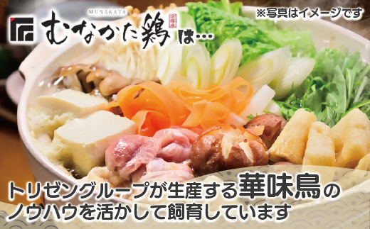 宗像産ブランド鶏【むなかた鶏】ムネ肉2kg（平飼い）【JAほたるの里】_HA1420