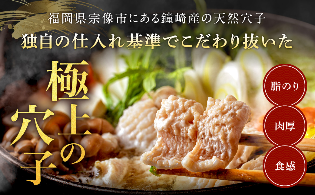 鐘崎産天然穴子鍋セット(2〜3人前)【魚住商店】_HA1488
