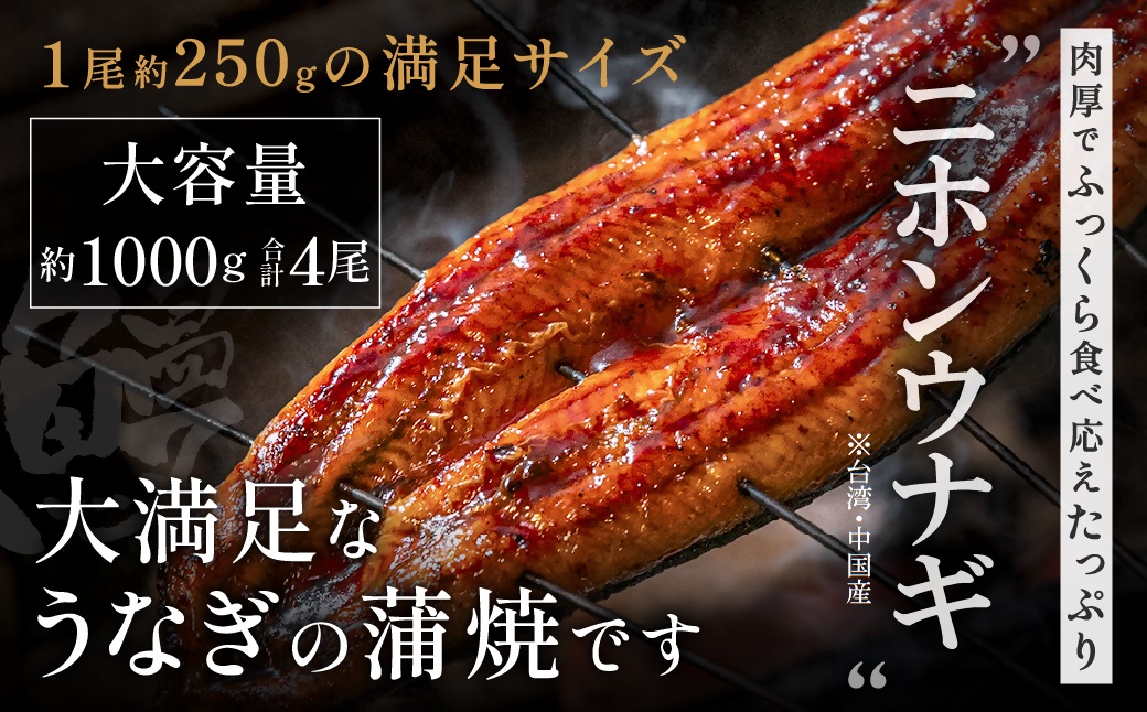 うなぎ蒲焼き4尾セット(約250g×4尾セット)【魚住商店】_HA1494